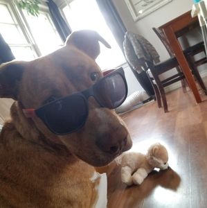 Meet your Posher, Kristin